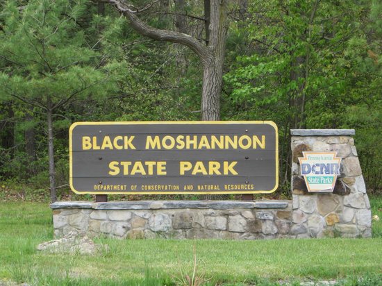 Black Moshannon State Park