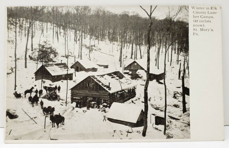 Anna Haberger Eckert: A Life of Resilience in Pennsylvania’s Lumber Camps