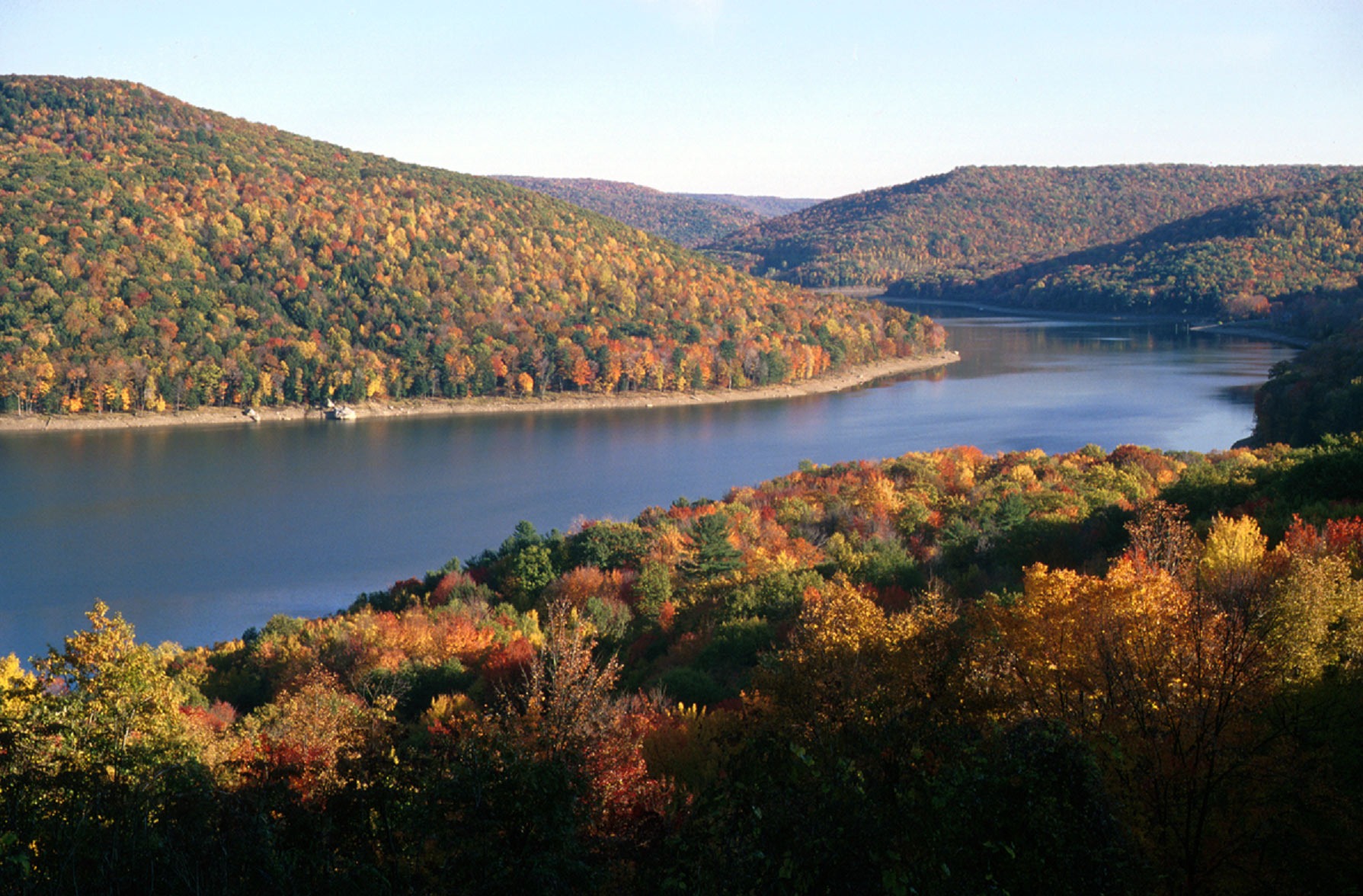 Renewing America’s Forests: Preserving Nature