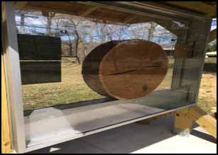 Tree Ring Display at Curwensville School