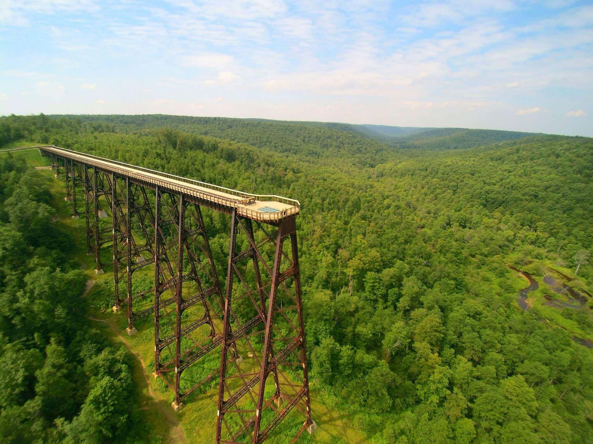 Discover the Heart of Pennsylvania’s Forest Products Industry