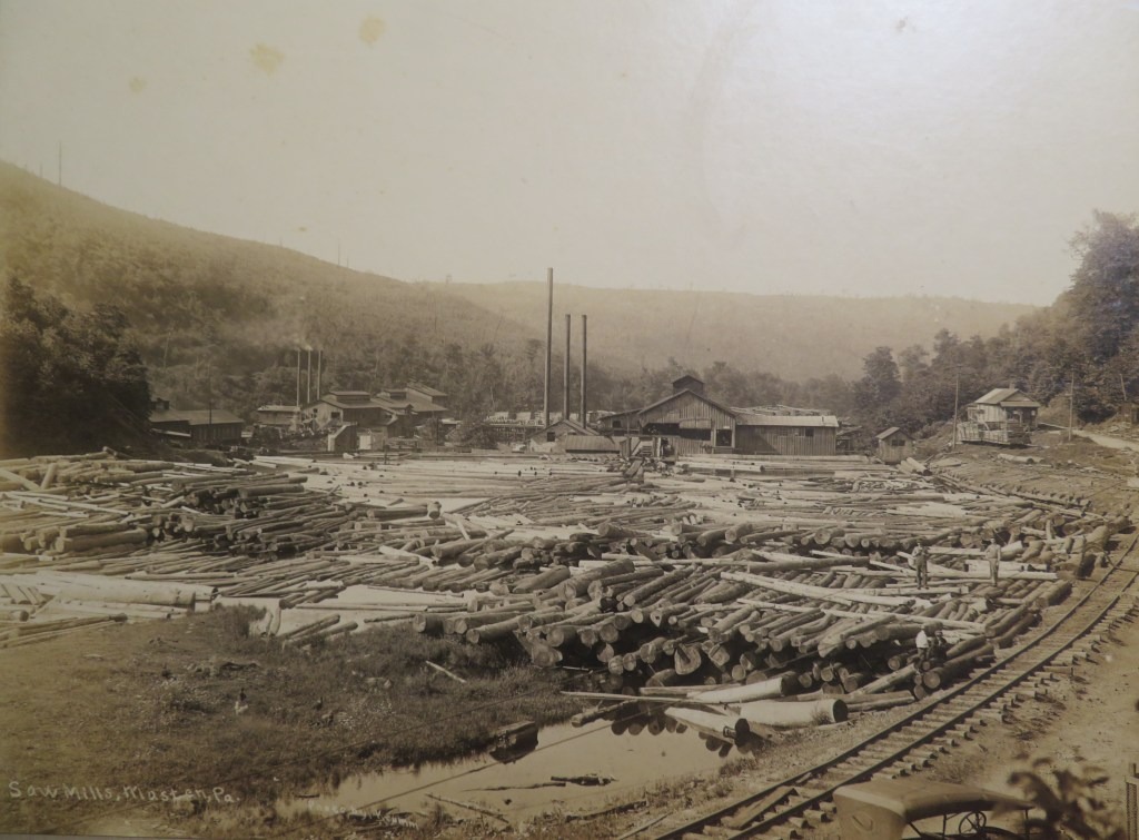 Logging Camps and Sawmills: A Glimpse into Warren and Forest Counties