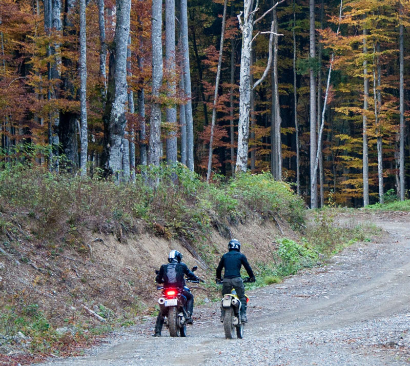 Marienville ATV /Bike Trail