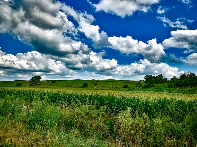 Bucktail State Park Natural Area