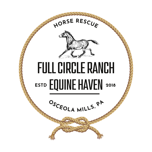 FULL CIRCLE RANCH EQUINE HAVEN