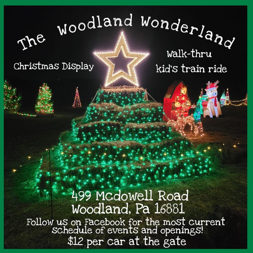 THE WOODLAND WONDERLAND