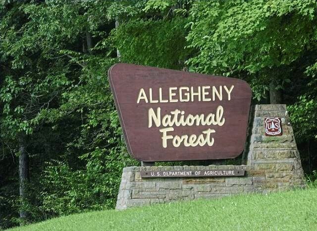 ALLEGANY NATIONAL FOREST