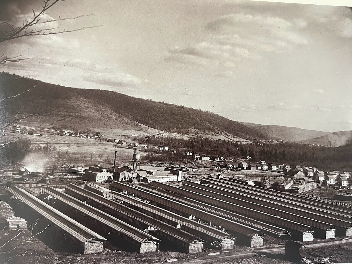 Anna Haberger Eckert: A Life of Resilience in Pennsylvania’s Lumber Camps