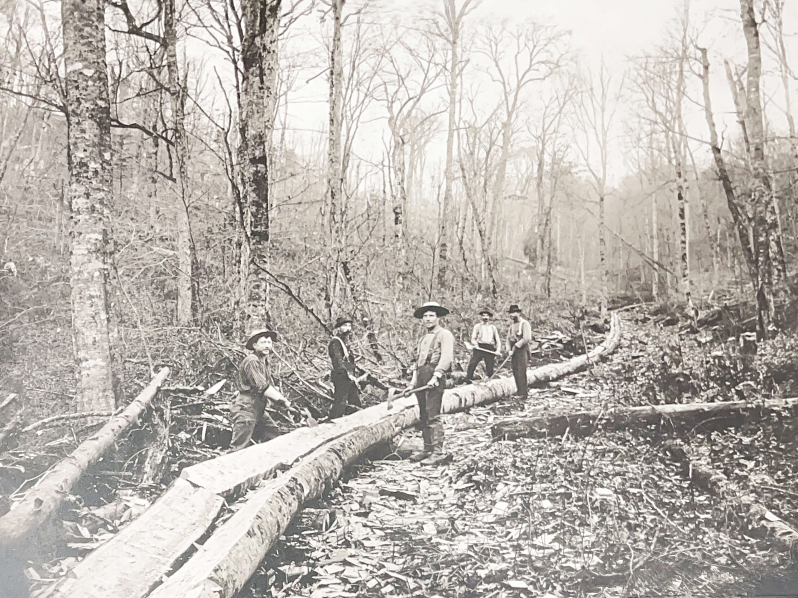 Building a Gravity Slide on West Branch (of Pine Creek)