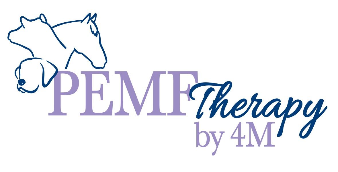 PEMF THERAPY BY 4M