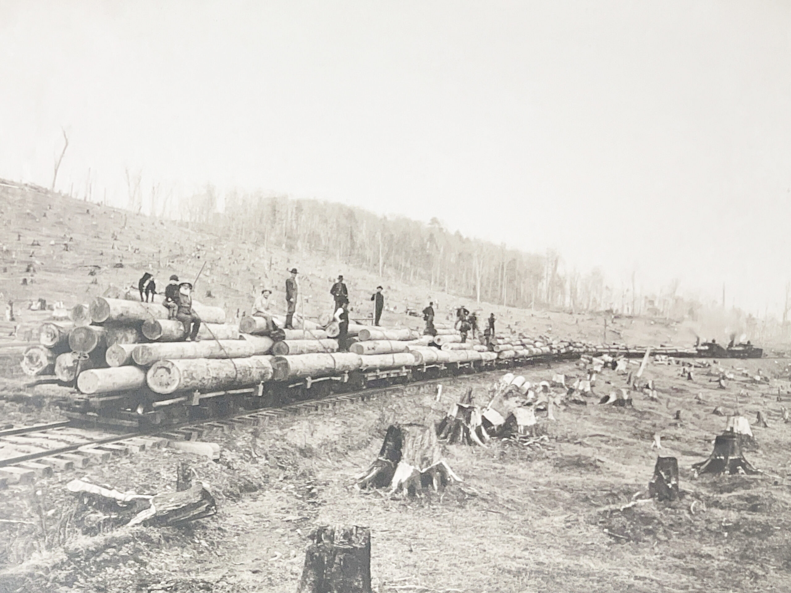 Goodyear Lumber Trail on the Dennis Hall Farm – Two Miles S.E. of Keating Summit, Potter County