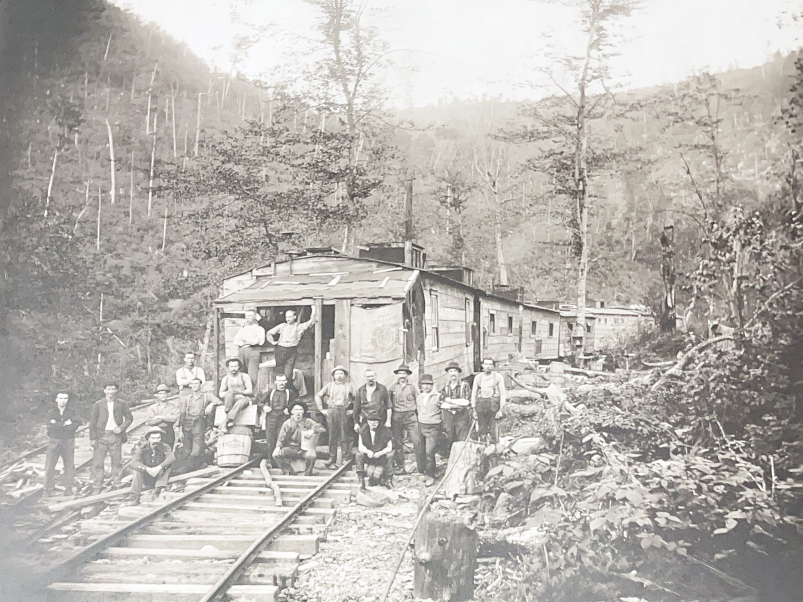 Lackawanna Lumber Co., Near Cross Fork