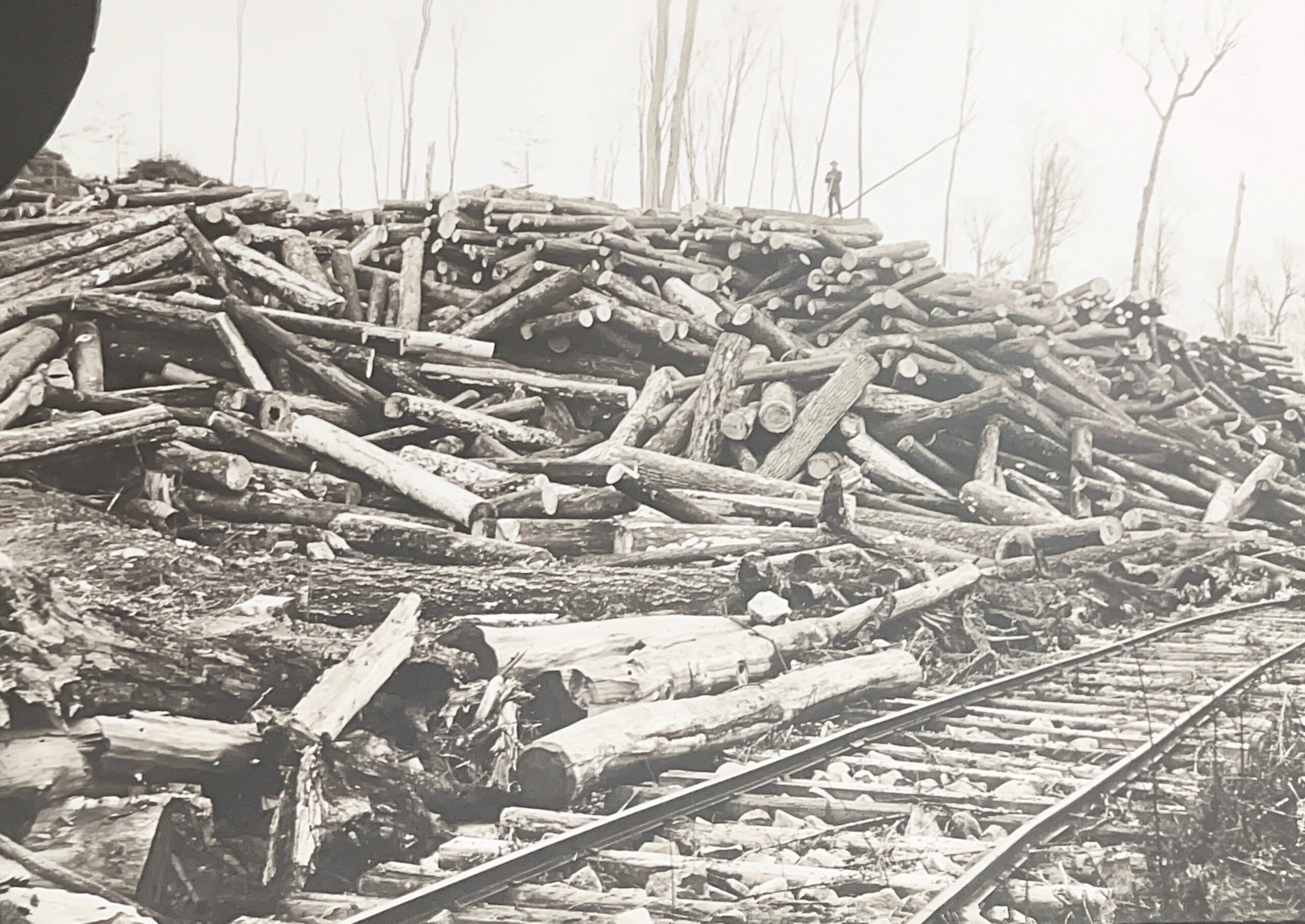 Skidding Logs by Railroad Near Austin, Potter County