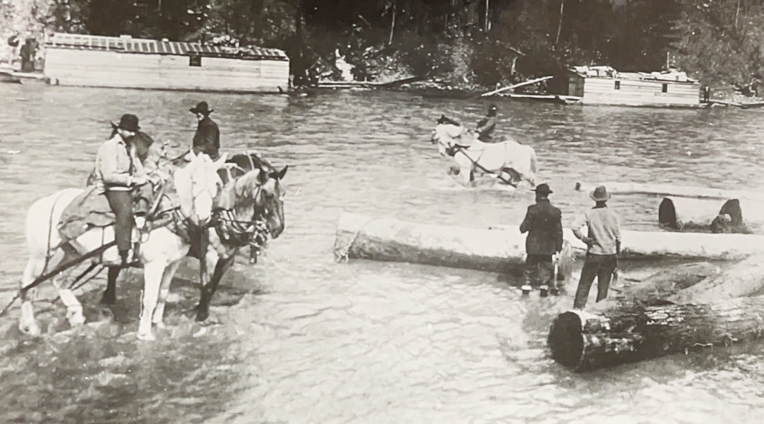 Pine Creek Log Drive in Lycoming County, Pennsylvania circa 1905