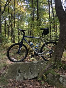 Stop #17 – Laurel Mill Mountain Bike Trails Sandy Beach Park