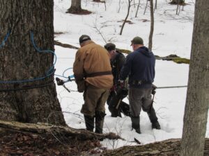 image of people tapping trees