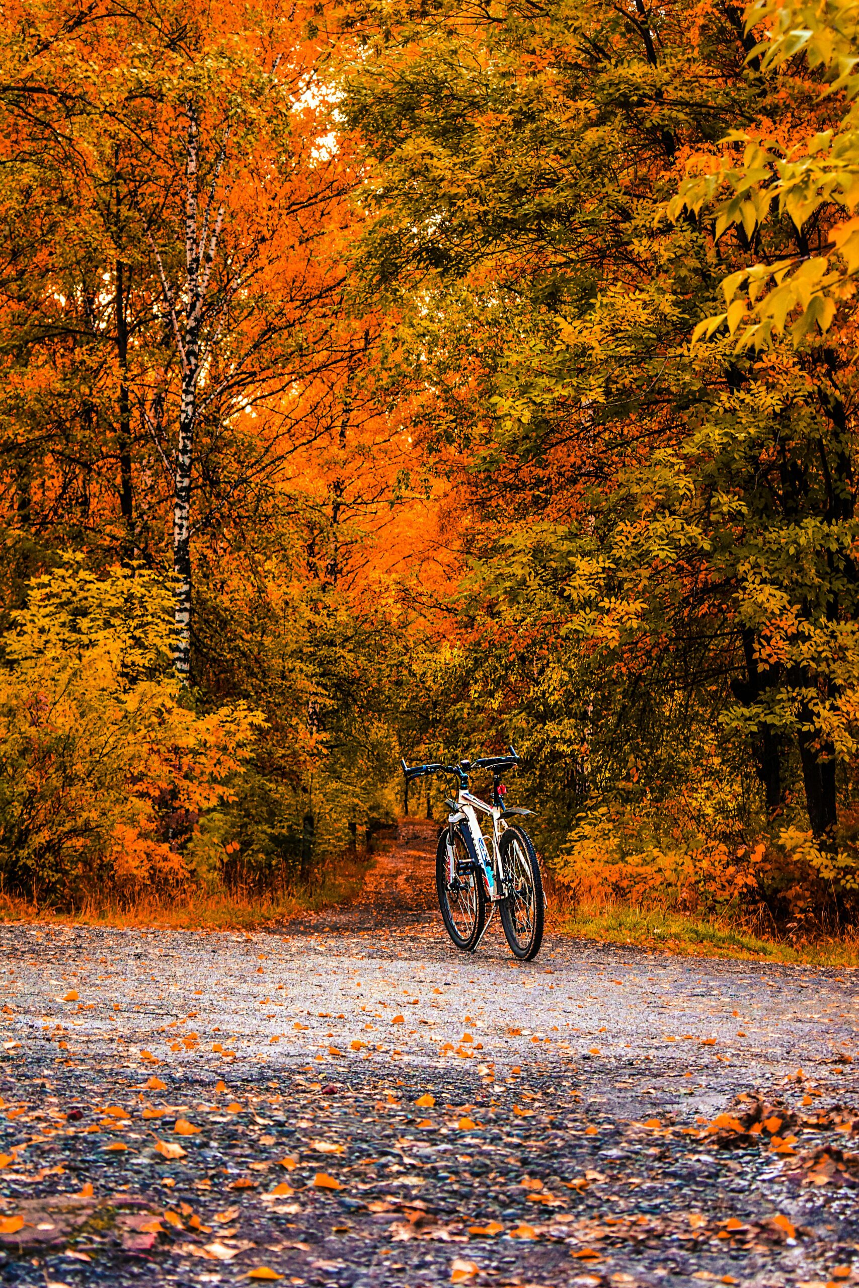 Stop #1 – Explore Clarion County’s Natural Surroundings on the Rail 66 Country Trail