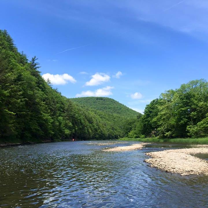 Pine Creek