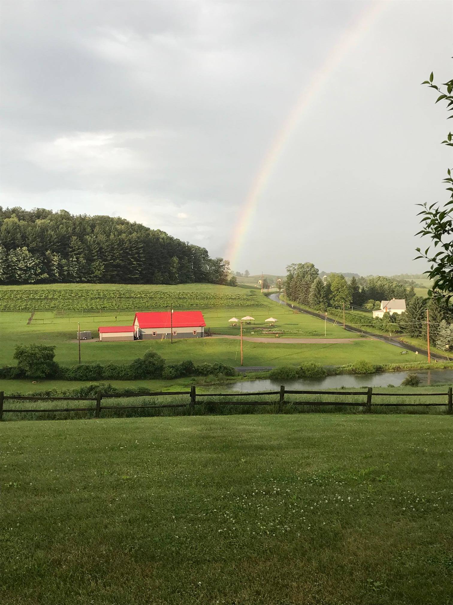 Shadow Vineyard and Winery