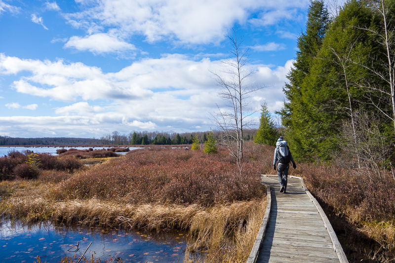 Black Moshannon State Park