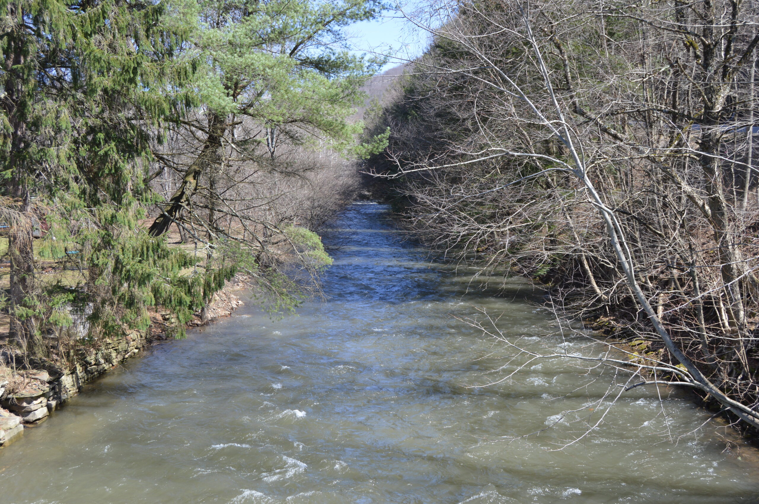 Sinnemahoning Creek