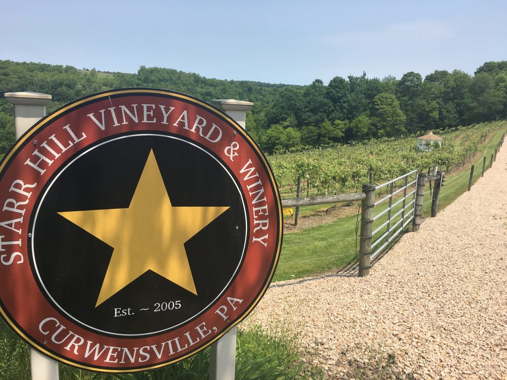 Star Hill Vineyard and Brewery