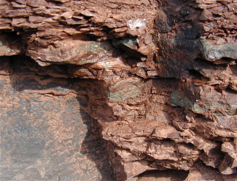 Red Hill Fossil Museum