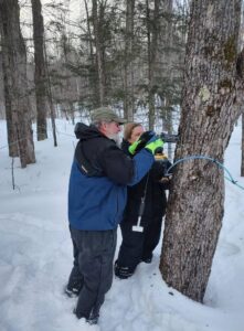 image of a person tapping a tree