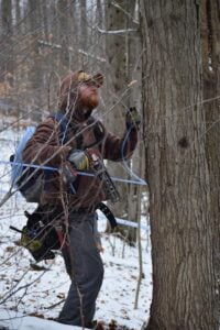 Image of someone tapping a tree