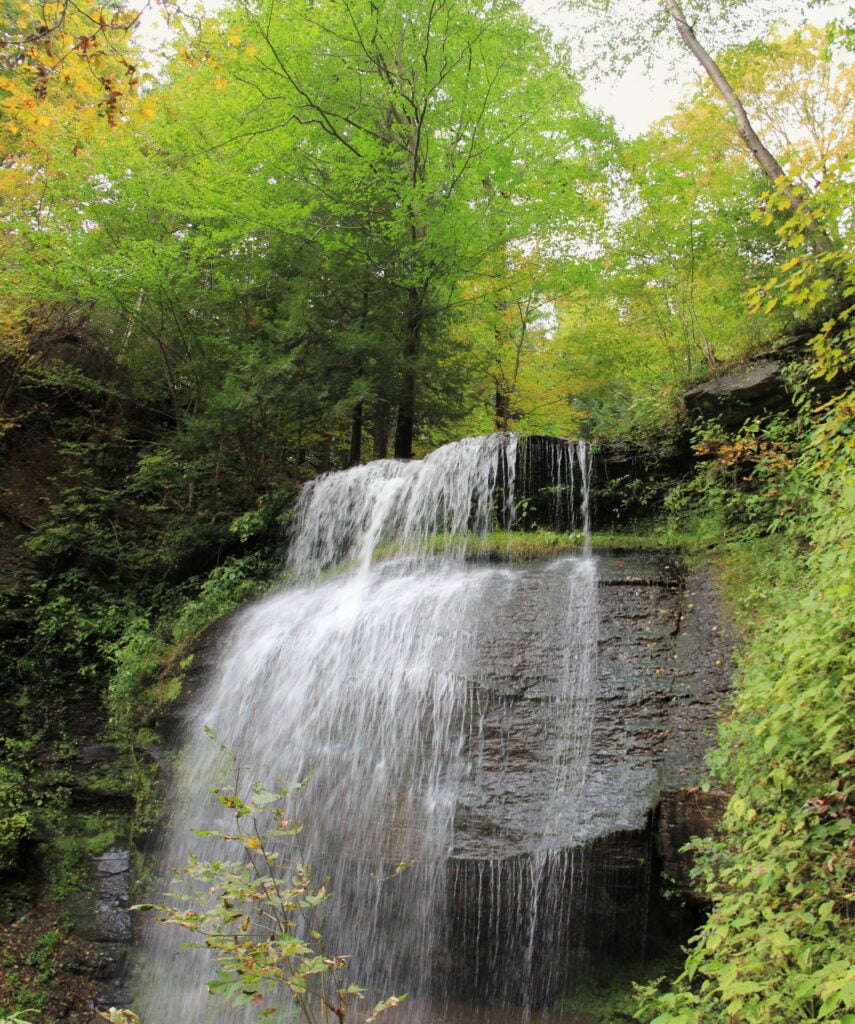 Indiana County