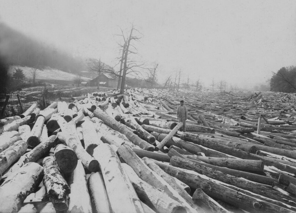 Historical picture of a logjam in Clearfield County