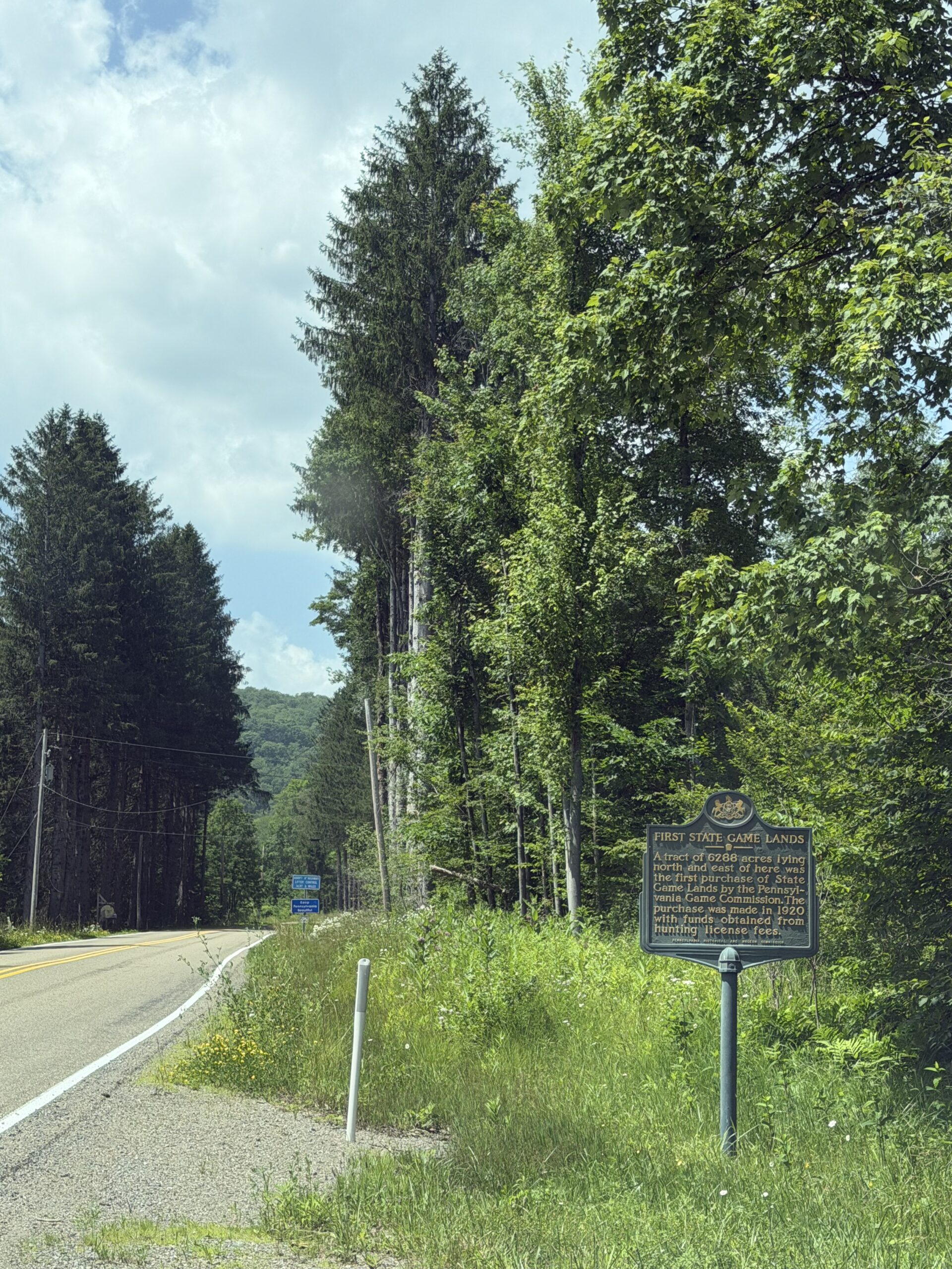Discovering Lumber Hertitage Through History and Education