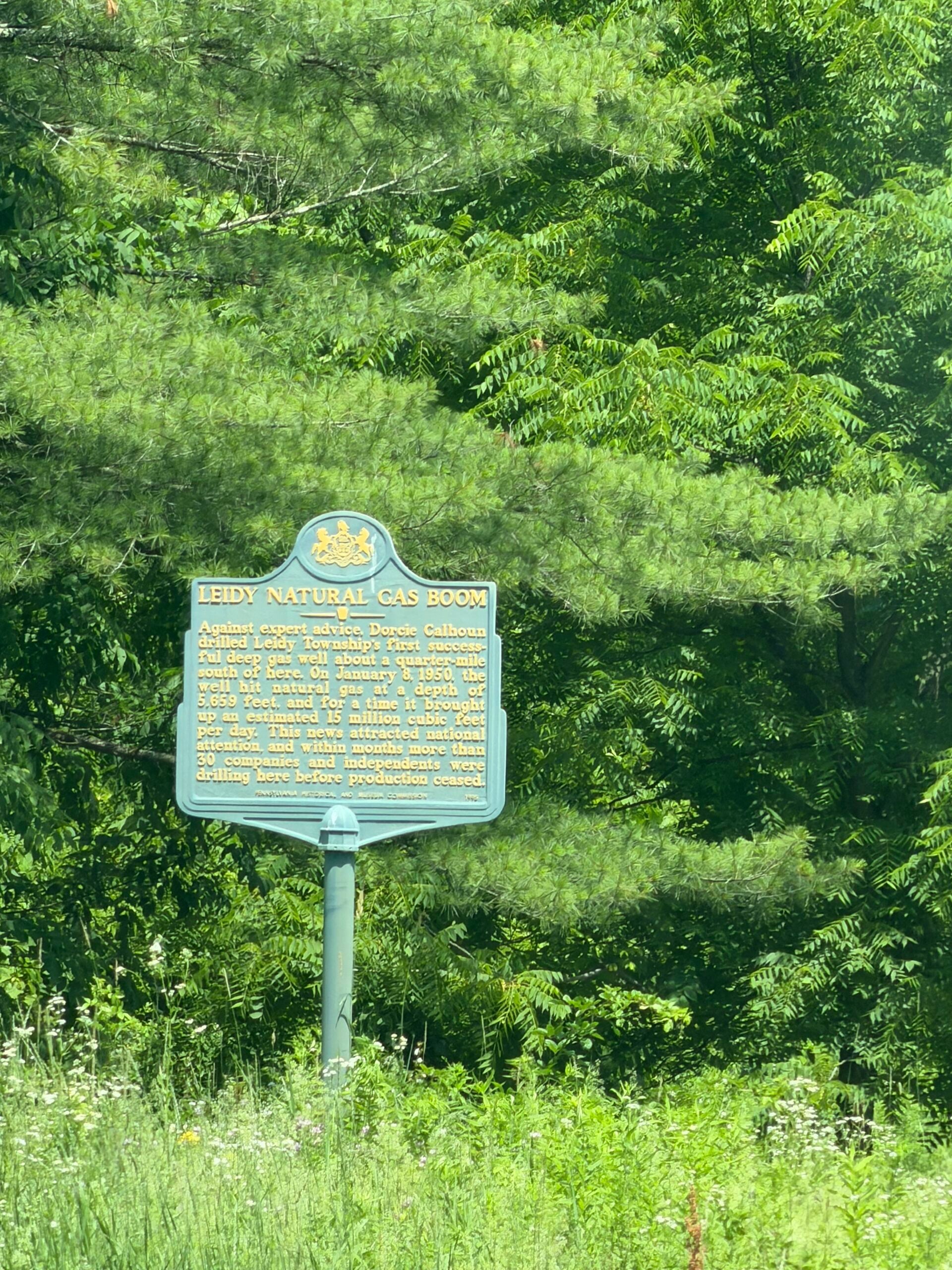 Discovering Lumber Hertitage Through History and Education