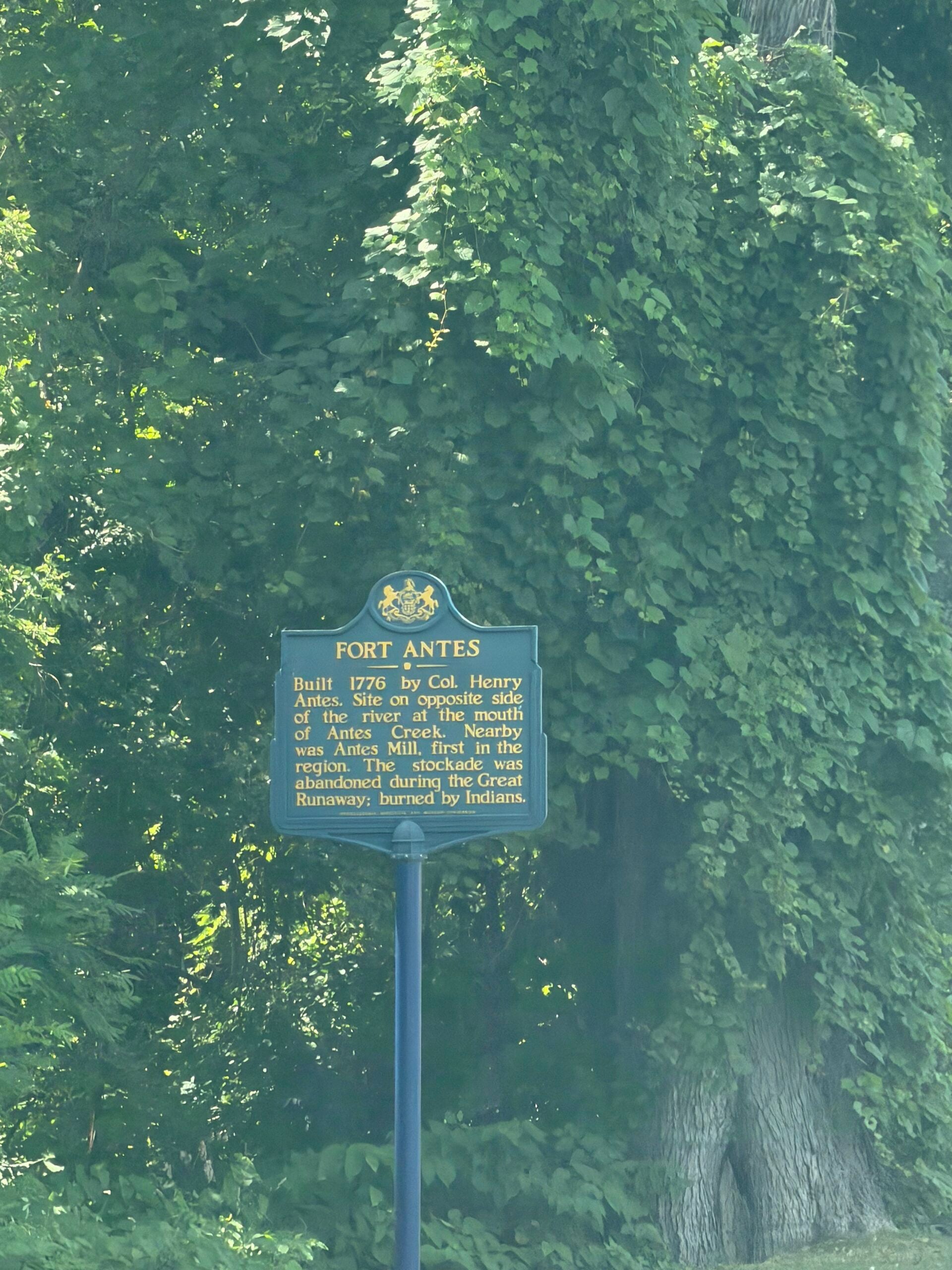 Discovering Lumber Hertitage Through History and Education
