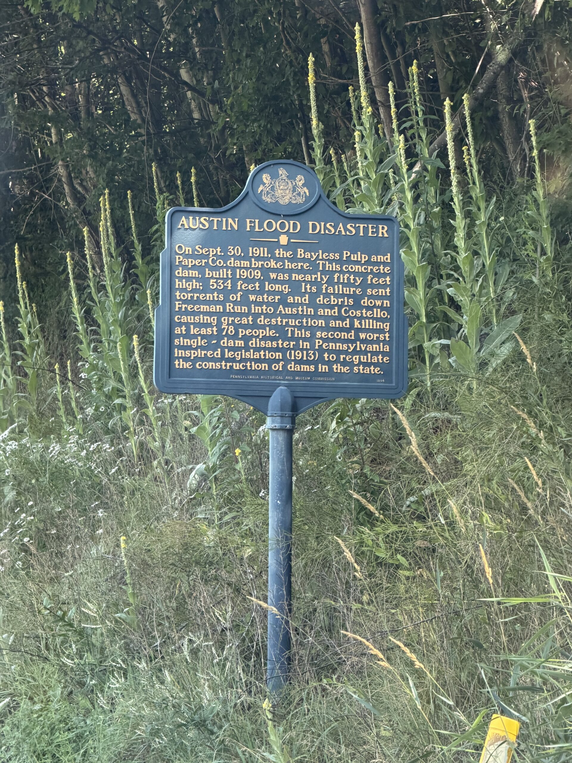 Discovering Lumber Hertitage Through History and Education