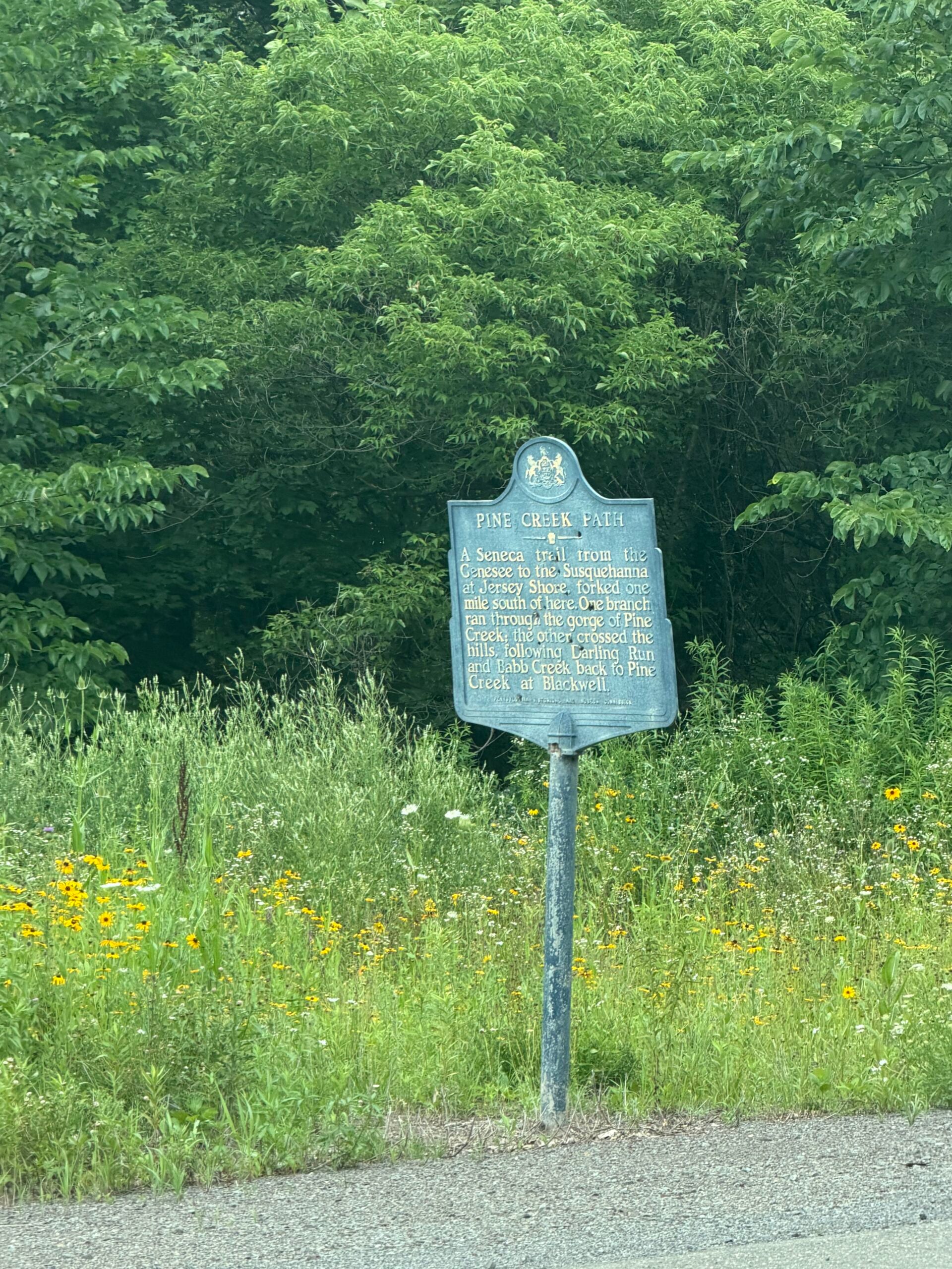 Discovering Lumber Hertitage Through History and Education