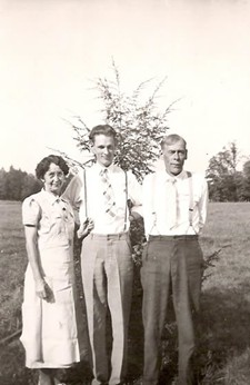 THE HISTORY OF COOK FOREST