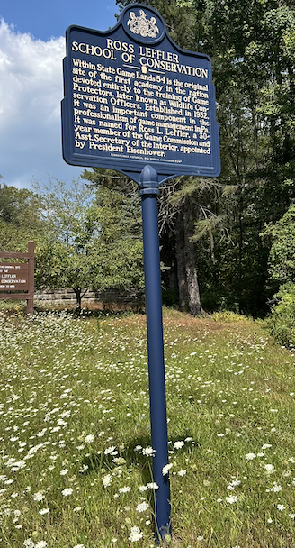 Discovering Lumber Hertitage Through History and Education
