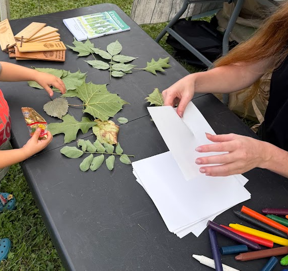 Discovering Lumber Hertitage Through History and Education