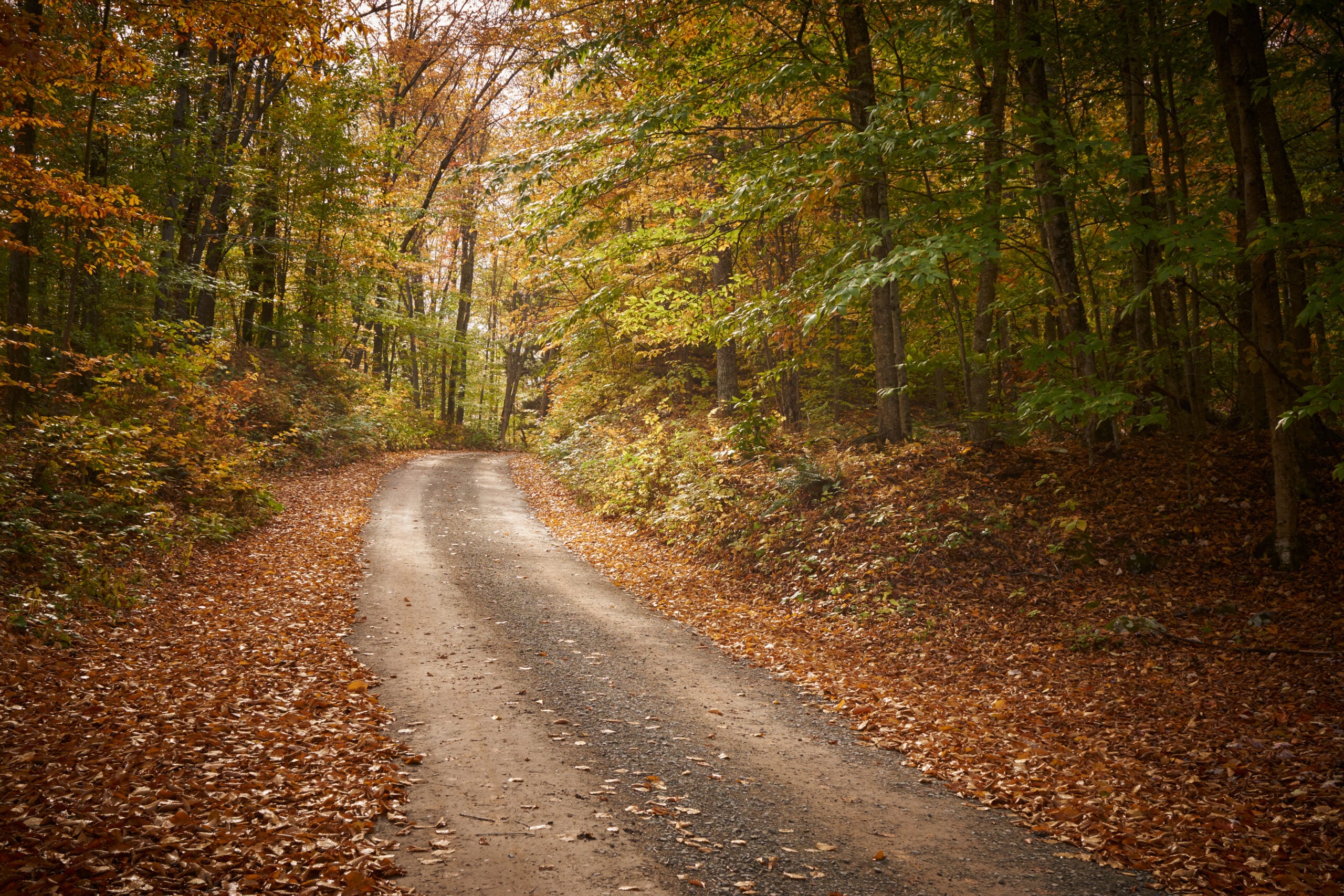 𝗙𝗨𝗡𝗗𝗜𝗡𝗚 𝗢𝗣𝗣𝗢𝗥𝗧𝗨𝗡𝗜𝗧𝗬 -Susquehanna Greenway Mini-Grant